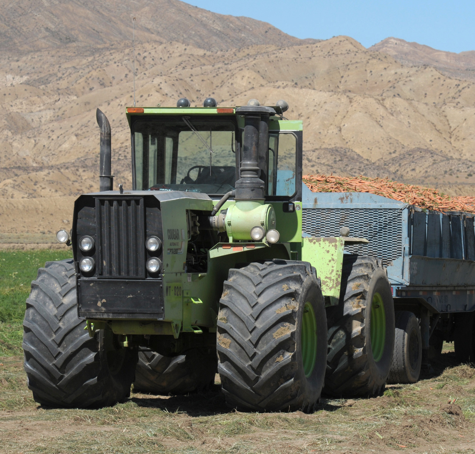 Cuyama Valley Carrot Growers Get the Stick