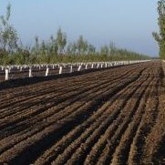 California Healthy Soils Program Helping Farmers