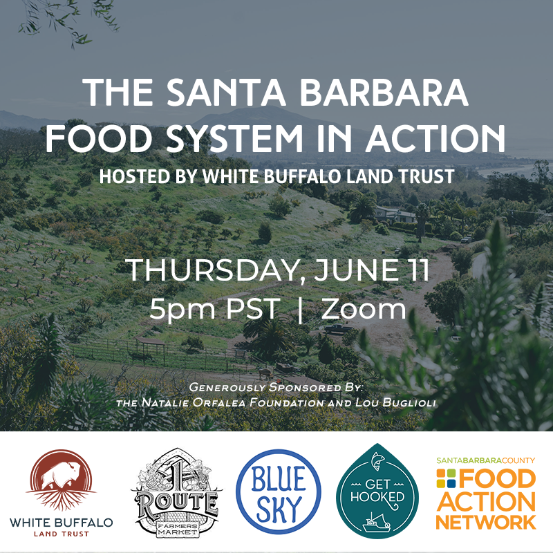 The Santa Barbara Food System in Action – Transitioning from Crisis to Forward-Thinking Strategy