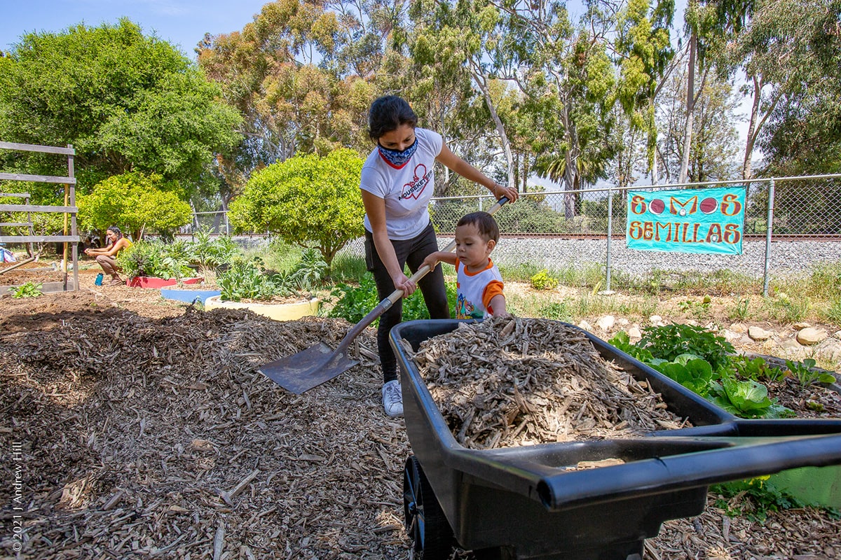 El Centro Santa Barbara: Somos Semillas Community Garden Success Story