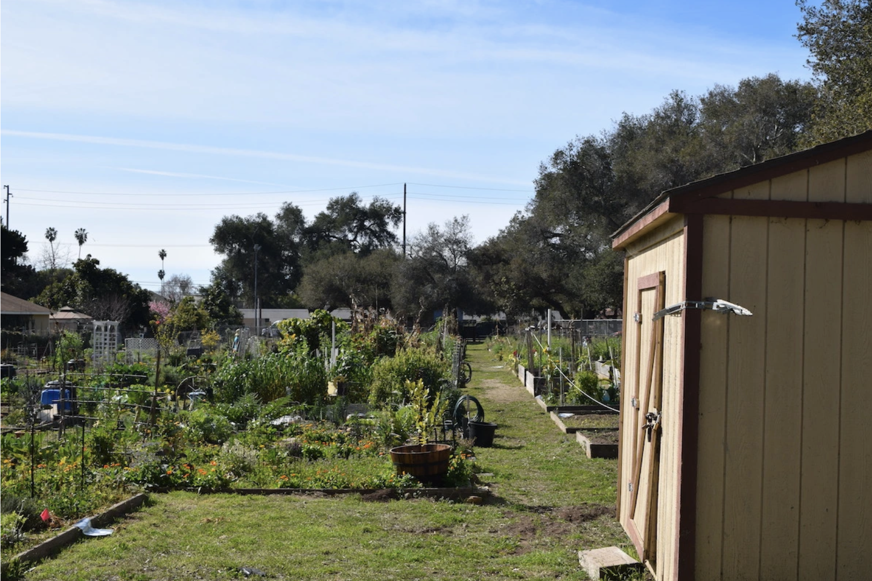Santa Barbara to Renovate Eastside Park, Reduce Overall Size of Yanonali Garden