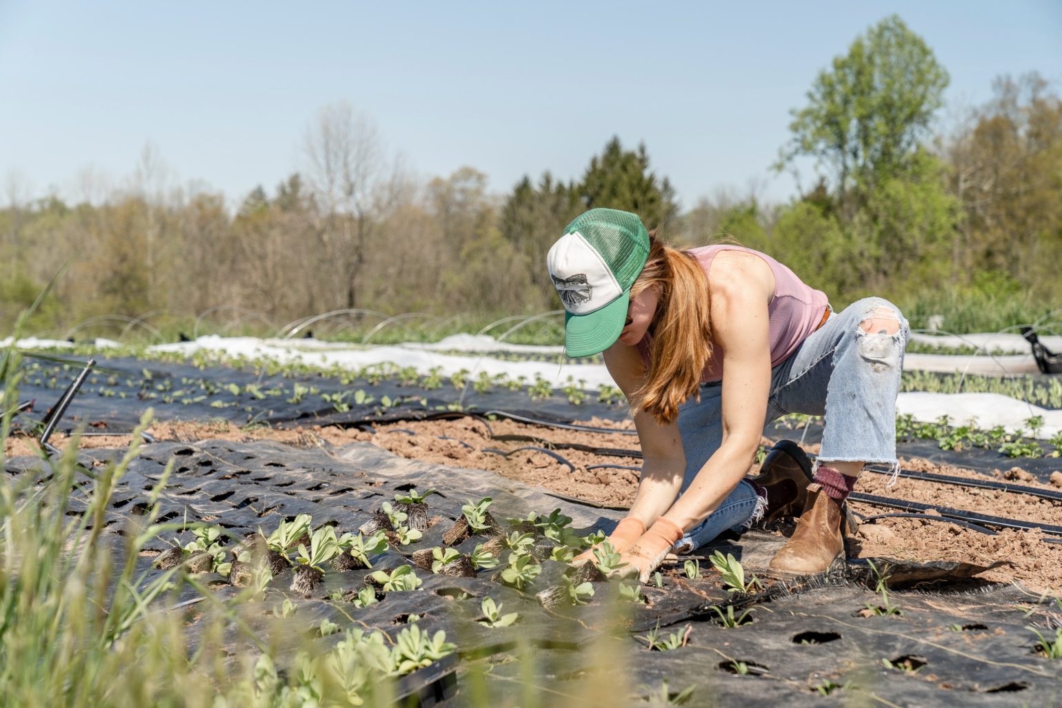 Rodale Institute Launches Course on Regenerative Agriculture