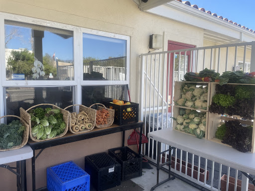 Isla Vista Youth Projects Partners With Veggie Rescue To Address Food Insecurity in Community