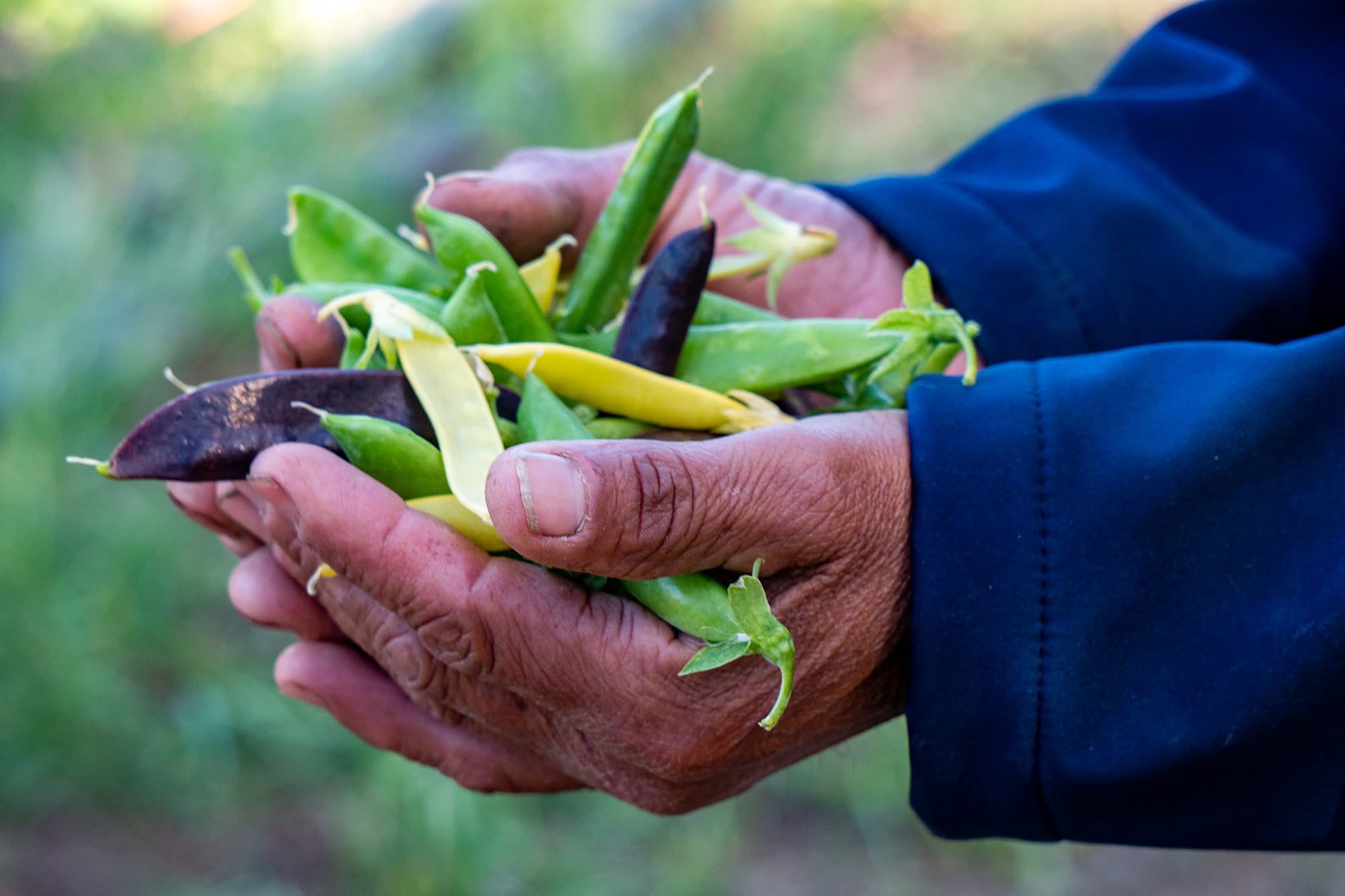 It’s more than a handful of beans.