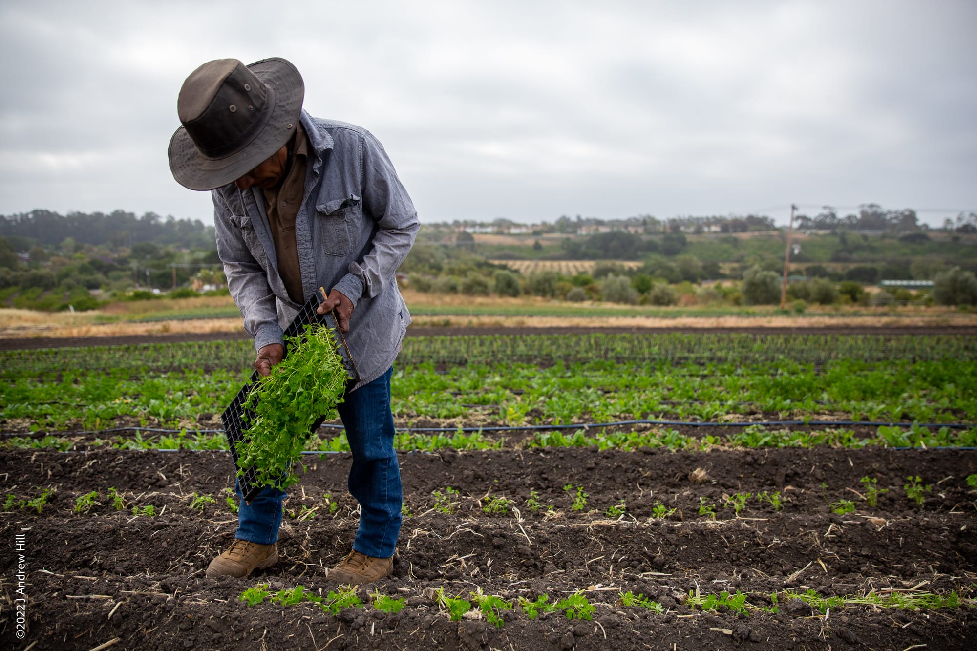 Support Lasting Change in Our Food System