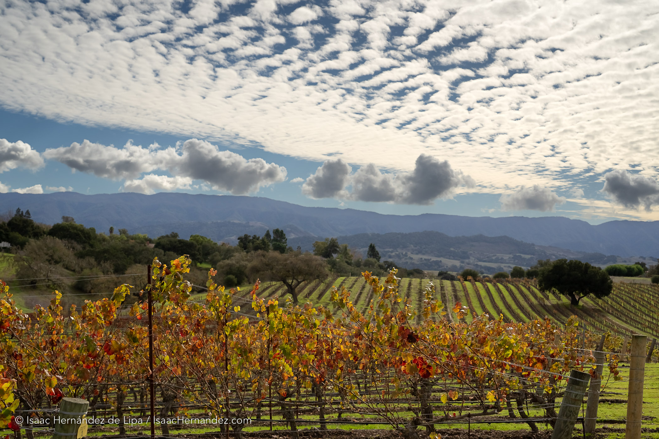 Finding Your Future in Food Systems